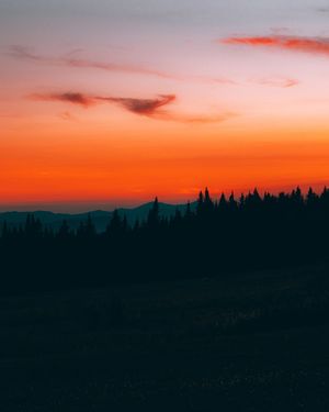 Image post by @z.clik on Instagram