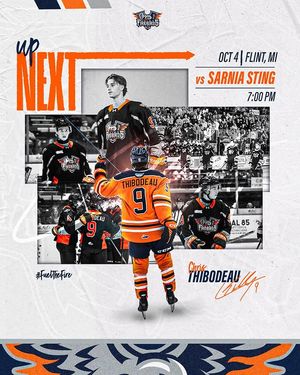 Image post by @flintfirebirds on Instagram