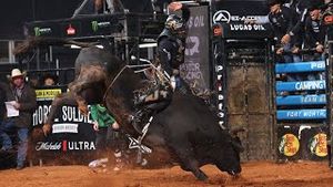 Video post by @pbr on YouTube
