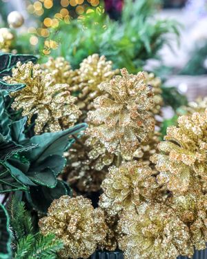 Image post by @rogersgardens on Instagram