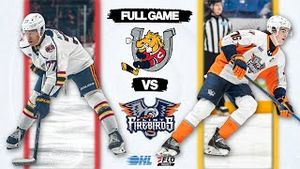 Video post by @flohockey on YouTube