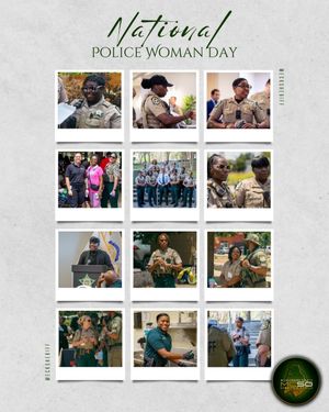Image post by @mecksheriff on Instagram