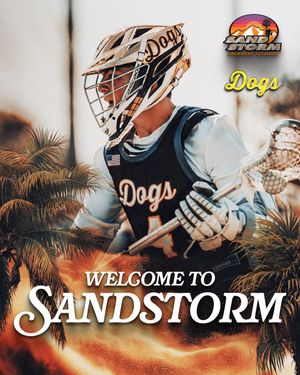 Image post by @sandstormlacrosse on Instagram