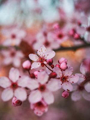 Image post by @scottboldtphoto on Instagram