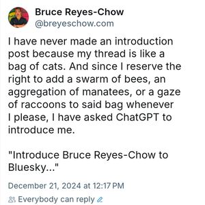 Image post by @breyeschow on Instagram