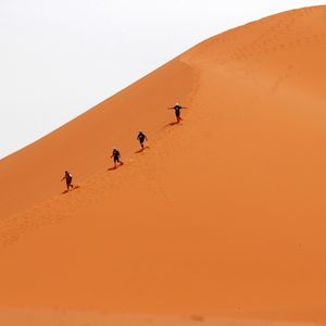 Image post by @discovery on Instagram