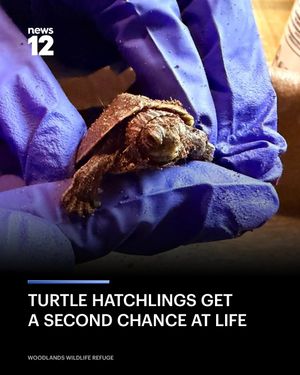 Image post by @news12nj on Instagram