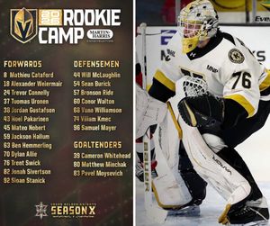 Image post by @bosak_goaltending on Instagram