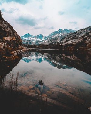 Image post by @drsquatch on Instagram