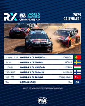 Image post by @fia.official on Instagram