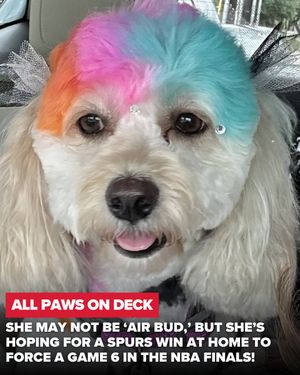 Image post by @kens5 on Instagram