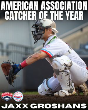 Image post by @thechicagodogs on Instagram