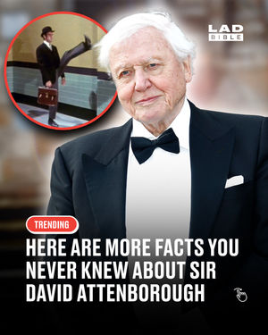 Image post by @ladbible on Instagram