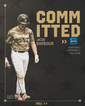 Image post by @pdgabaseball on Instagram