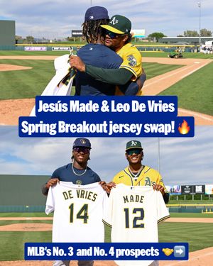 Image post by @mlb on Instagram