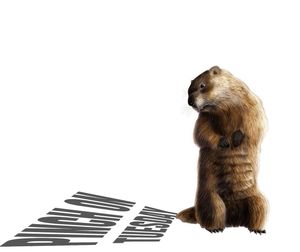 Image post by @southcarolinachicks on Instagram