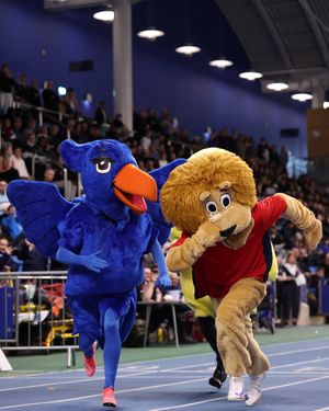 Image post by @bucssport on Instagram