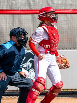 Image post by @terriersoftball on Instagram