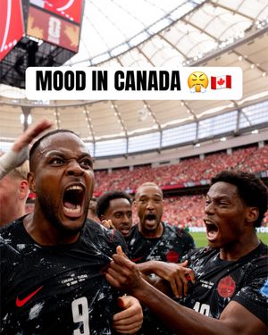 Video post by @mls on TikTok