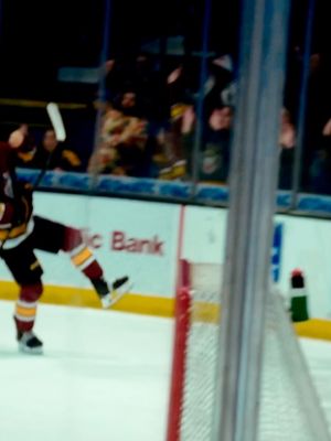 Image post by @chicagowolves on Instagram