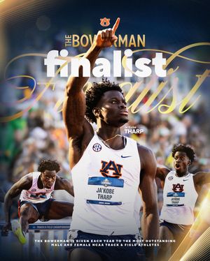 Image post by @auburntfxc on Instagram