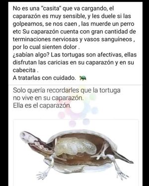 Image post by @redlatina on Facebook