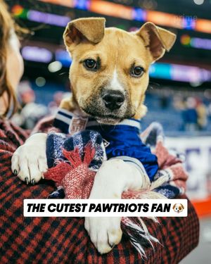 Image post by @nflonprime on Instagram