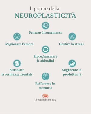 Image post by @neurobloom_noa on Instagram