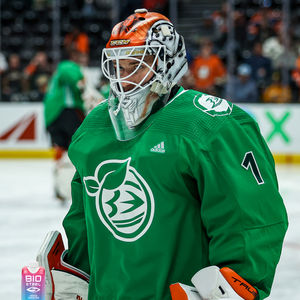 Image post by @AnaheimDucks on Twitter