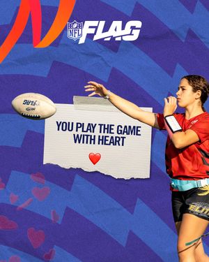 Image post by @nflflag on Instagram