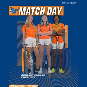 Image post by @nphawks on Twitter