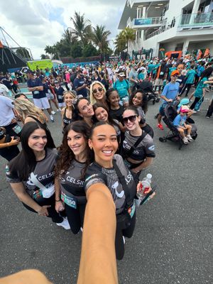 Image post by @dolphinscheer on Instagram
