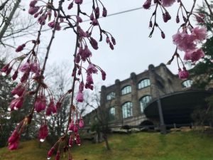 Image post by @montreat on Instagram
