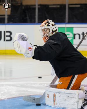 Image post by @AnaheimDucks on Twitter/X