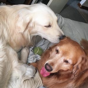Image post by @mikethewhitegolden on Instagram