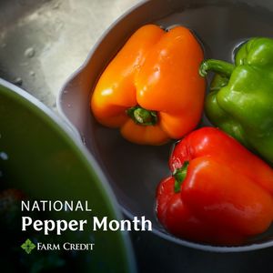 Image post by @farmcredit on Instagram