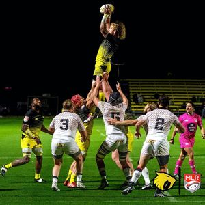Image post by @houstonsabercats on Instagram