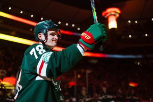 Image post by @mnwild on Twitter