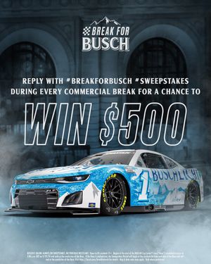 Image post by @BuschBeer on Twitter