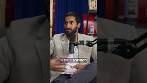 Video post by @talkingredblue on YouTube