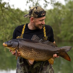 Image post by @brothercarp on Instagram