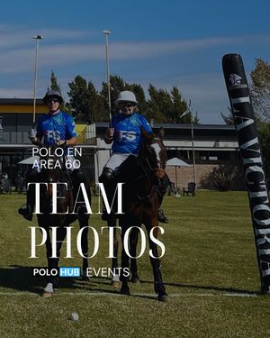 Image post by @polohubsocial on Instagram