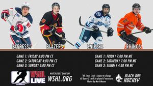 Image post by @BDEHockey on Twitter