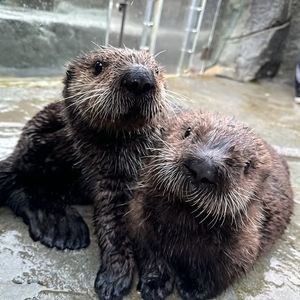 Image post by @vanaqua on Instagram