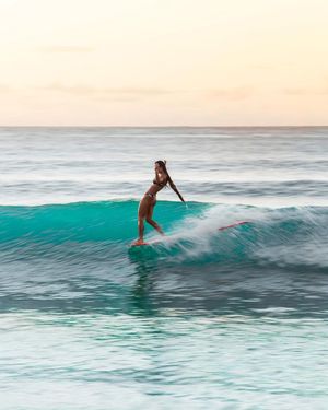 Image post by @Roxy on Twitter/X