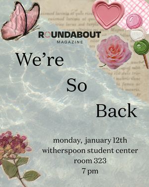 Image post by @ncsuroundabout on Instagram