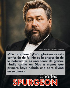 Image post by @3chapters on Instagram