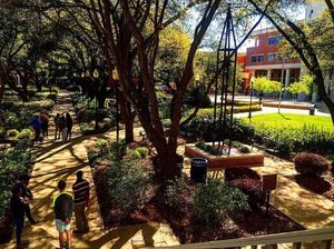 Image post by @jacksonstateu on Instagram