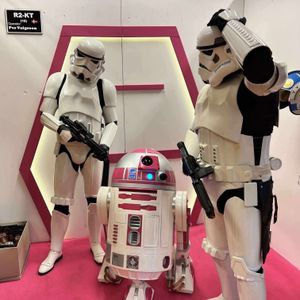 Image post by @official501st on Instagram