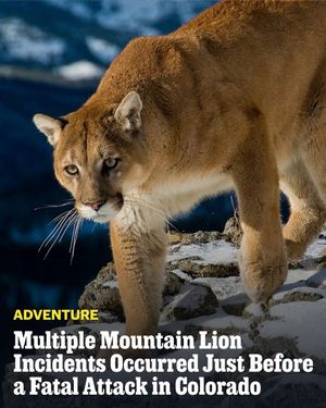 Image post by @outsidemagazine on Instagram